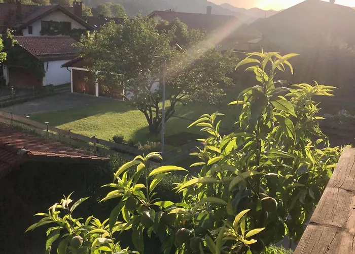 Lejlighed Haus Huber Bad Hindelang